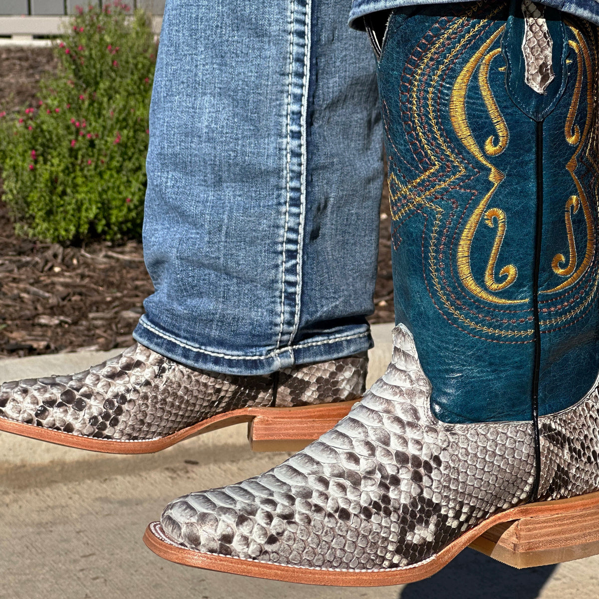 Men’s Natural Python Exotic Boots With Bule Shaft – Texas Boot Ranch