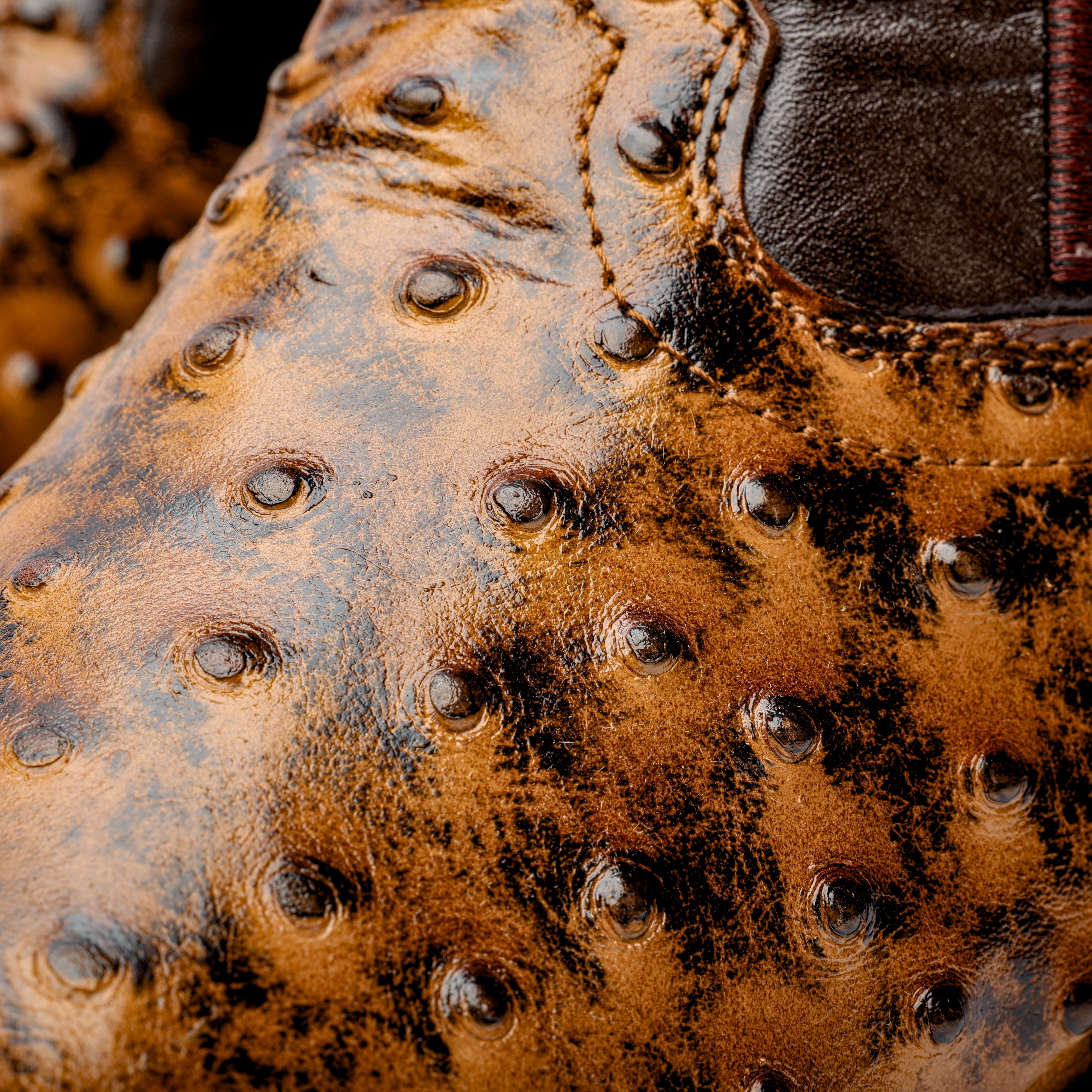 Honey Ostrich Leather Boots - Square Toe – Texas Boot Ranch