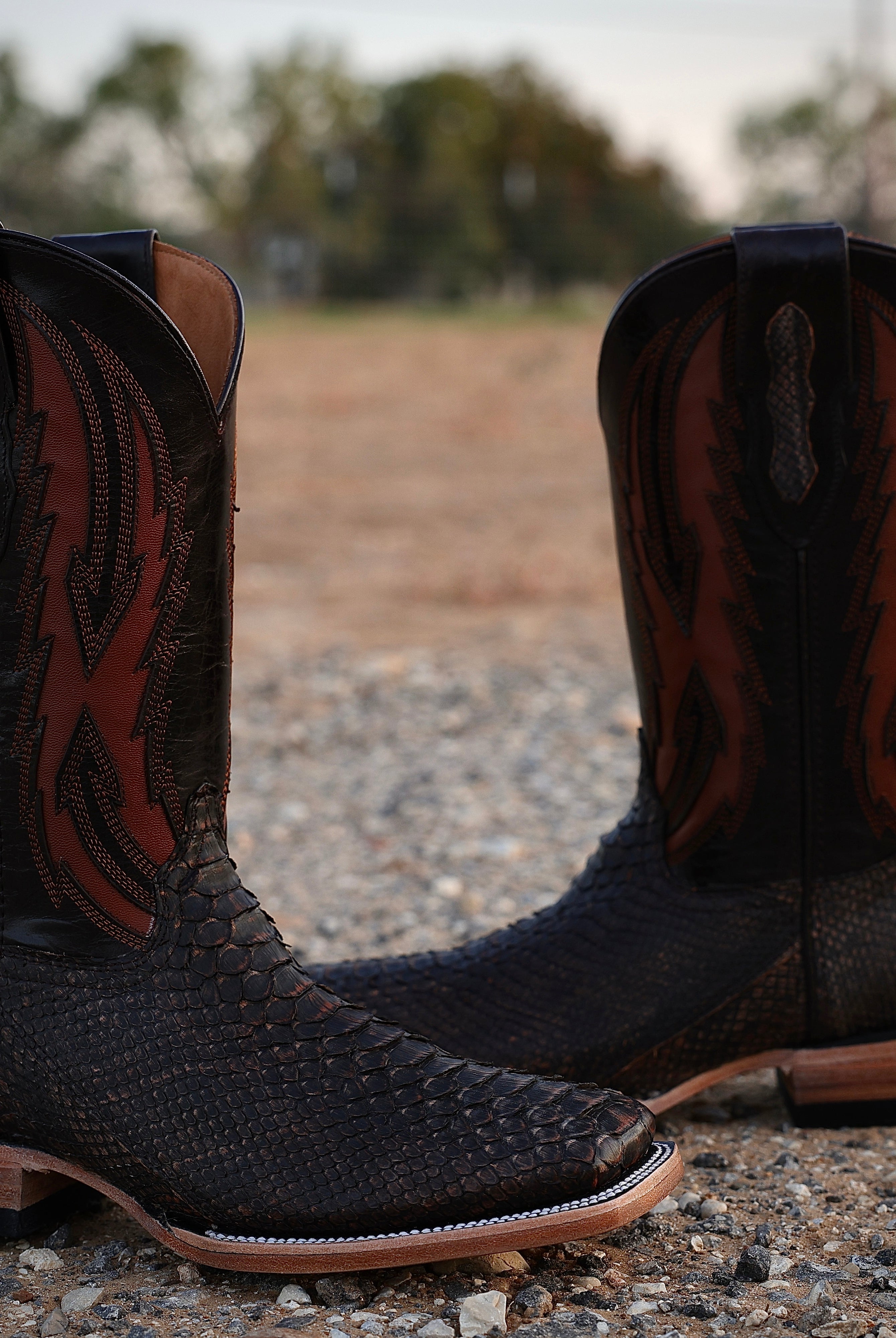 Authentic Exotic – Texas Boot Ranch