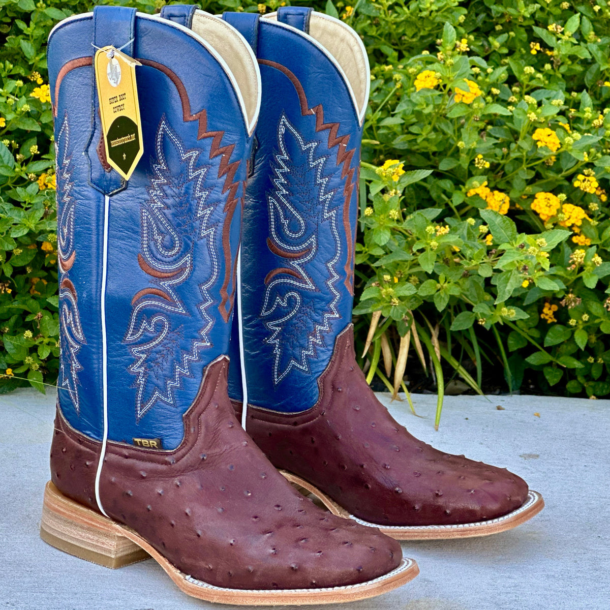 Men’s Chocolate Brown Ostrich Leather Boots With Blue Shaft – Texas ...