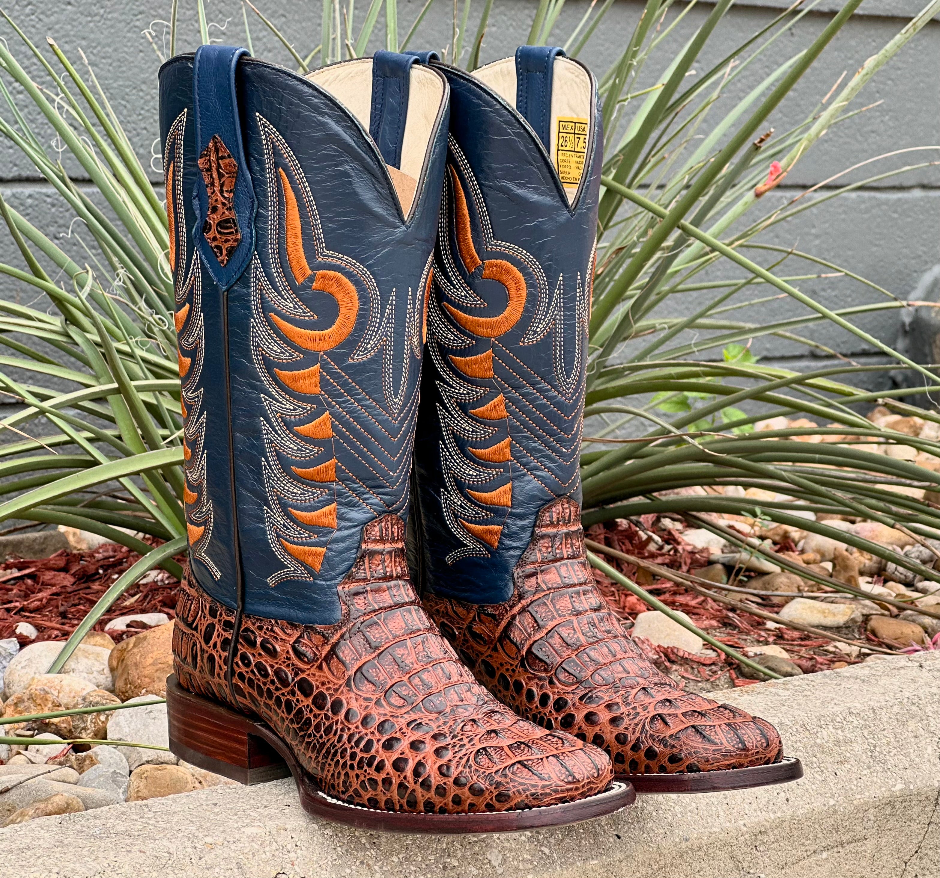 E23482BA-7B14-421E-B86A-